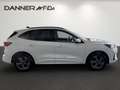 Ford Kuga ST-LINE 183PS Benzin/Hybrid 2,5 Duratec FHEV Al... Weiß - thumbnail 3