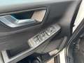 Ford Kuga ST-LINE 183PS Benzin/Hybrid 2,5 Duratec FHEV Al... Weiß - thumbnail 11
