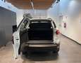 Ford EcoSport 1.5 TDCi 100 CV Start&Stop Plus Blanc - thumbnail 9