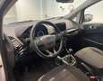 Ford EcoSport 1.5 TDCi 100 CV Start&Stop Plus Blanc - thumbnail 11