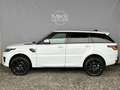 Land Rover Range Rover Sport 3,0 SDV6 HSE Dynamic *ACC*SOFTCLOSE*PANO* Weiß - thumbnail 7
