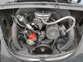 Volkswagen Beetle Cabrio. 1.6 Zwart - thumbnail 10