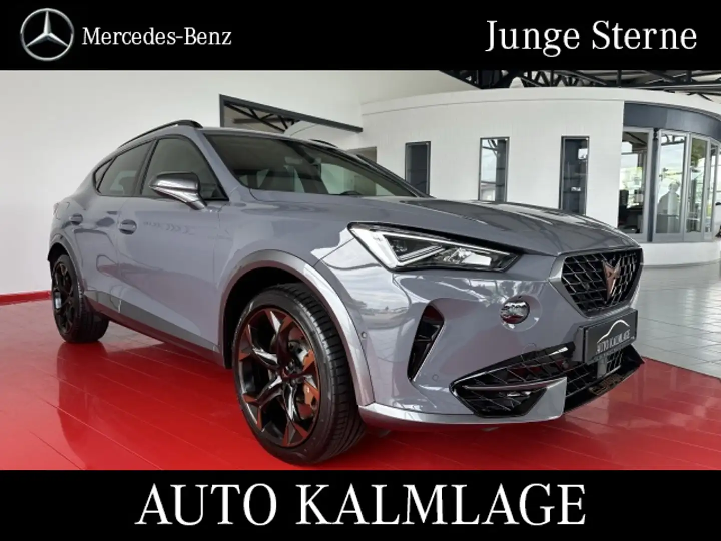 CUPRA Formentor Formentor VZ 2.0 TSI 4 Drive BEATS+ACC+MEMORY Grau - 1
