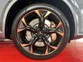 CUPRA Formentor Formentor VZ 2.0 TSI 4 Drive BEATS+ACC+MEMORY Grau - thumbnail 5