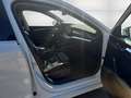 Skoda Octavia 1.5 TSI ACT First Edition AHK ACC Navi Kam Leder 4 Blanc - thumbnail 11