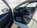 Skoda Octavia 1.5 TSI ACT First Edition AHK ACC Navi Kam Leder 4 Blanc - thumbnail 10