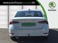 Skoda Octavia 1.5 TSI ACT First Edition AHK ACC Navi Kam Leder 4 Blanc - thumbnail 3