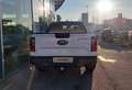 Ford Ranger Ranger DCAB W-TRAK 3.0L 240PS 4WD A10 Weiß - thumbnail 5