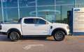 Ford Ranger Ranger DCAB W-TRAK 3.0L 240PS 4WD A10 Weiß - thumbnail 3