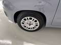 Fiat Panda 1.0 FireFly 70cv S&S Hybrid Grigio - thumbnail 7