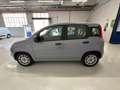 Fiat Panda 1.0 FireFly 70cv S&S Hybrid Grigio - thumbnail 2
