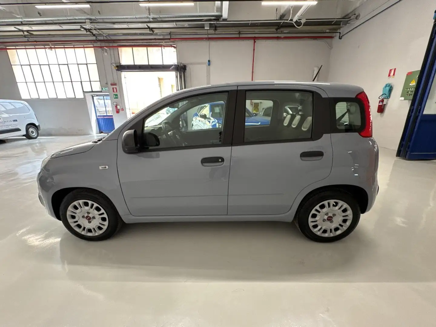 Fiat Panda 1.0 FireFly 70cv S&S Hybrid Grigio - 2
