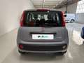Fiat Panda 1.0 FireFly 70cv S&S Hybrid Grigio - thumbnail 4