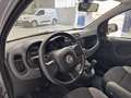 Fiat Panda 1.0 FireFly 70cv S&S Hybrid Grigio - thumbnail 8