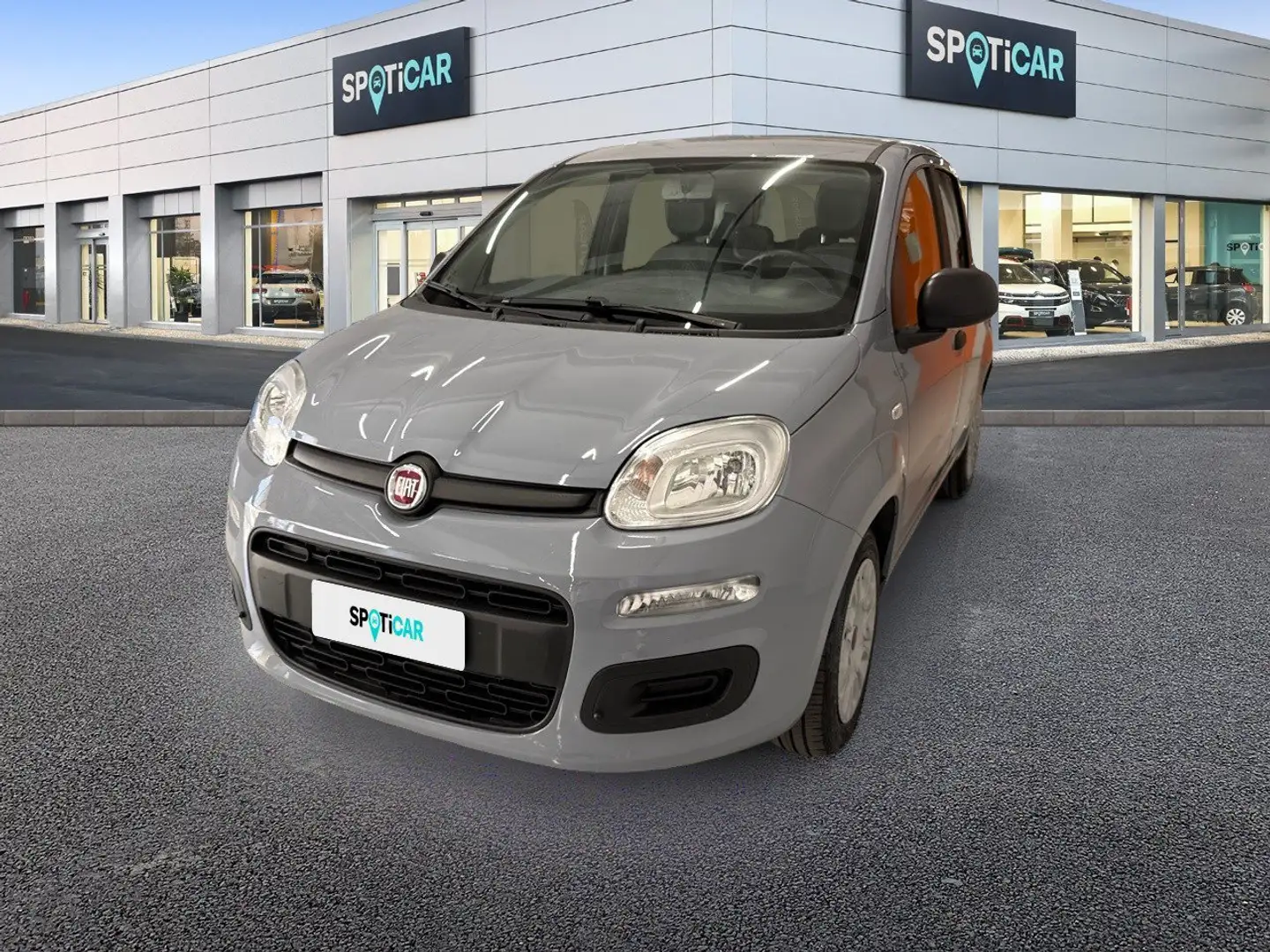 Fiat Panda 1.0 FireFly 70cv S&S Hybrid Grigio - 1