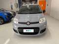 Fiat Panda 1.0 FireFly 70cv S&S Hybrid Grigio - thumbnail 6