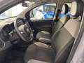 Fiat Panda 1.0 FireFly 70cv S&S Hybrid Grigio - thumbnail 9