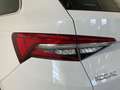 Skoda Kodiaq 2.0TDI AB tech Ambition 4x2 DSG 110kW Bianco - thumbnail 15