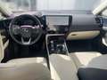Lexus NX 450h+ 2.5 Plug-In Hybrid  Business Line Negru - thumbnail 14