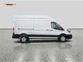 Ford Transit Trend Netto €29 150 · Klima · Tempomat · P Weiß - thumbnail 10