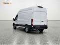 Ford Transit Trend Netto €29 150 · Klima · Tempomat · P Weiß - thumbnail 5