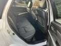 Suzuki S-Cross 1.4 Boosterjet High Executive AUTOMAAT | LEER | 1e White - thumbnail 9