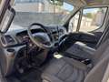 Iveco Daily IVECO DAILY FRIGO Roues Jumelée 35S13 2.3 L 130 Ch - thumbnail 12