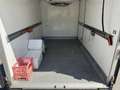 Iveco Daily IVECO DAILY FRIGO Roues Jumelée 35S13 2.3 L 130 Ch - thumbnail 8