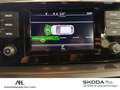 Skoda Scala 1.0 TSI Cool Plus LED Smart Link SHZ Weiß - thumbnail 22