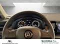 Skoda Scala 1.0 TSI Cool Plus LED Smart Link SHZ Weiß - thumbnail 19