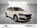 Skoda Scala 1.0 TSI Cool Plus LED Smart Link SHZ Weiß - thumbnail 8