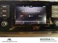 Skoda Scala 1.0 TSI Cool Plus LED Smart Link SHZ Weiß - thumbnail 24