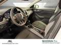Skoda Scala 1.0 TSI Cool Plus LED Smart Link SHZ Weiß - thumbnail 14