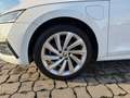 Skoda Octavia OCTAVIA COMBI iV STYLE DSG * PLUG-IN HYBRID *. Wit - thumbnail 11