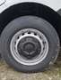 Nissan Interstar L2H2 dCi150 3,5t N-Connecta*HV*AHK Weiß - thumbnail 19