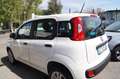 Fiat Panda 0.9 TwinAir Turbo Natural Power Easy Blanco - thumbnail 6