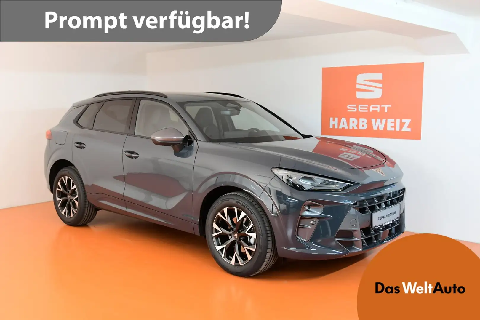 CUPRA Terramar 1.5 e-TSI 150 PS DSG Blau - 1