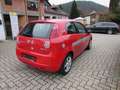 Fiat Punto 3-Türer 1.2 8V 'Klima/CD/LM' Rot - thumbnail 3