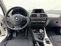 BMW 116 116d 5p. Advantage *SERVICE BMW* Weiß - thumbnail 6