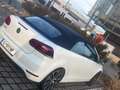 Volkswagen Golf Cabriolet Cabrio BMT 1,6 TDI DPF - thumbnail 3