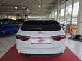 Jaguar XF Sportbrake R-Sport AWD+MERIDIAN+NAVI+KAMERA+ Blanc - thumbnail 6