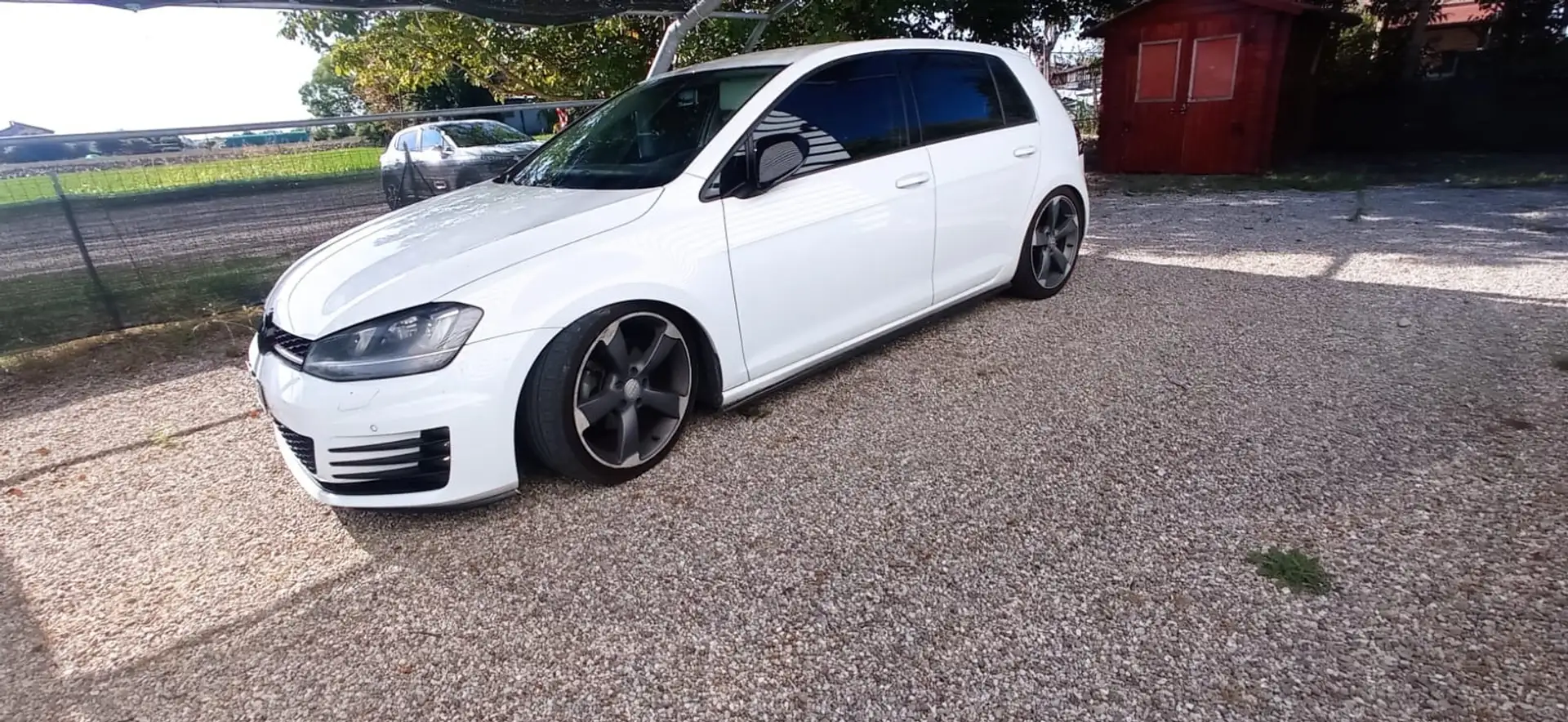 Volkswagen Golf 5p 1.6 tdi DSG kit GTD - 1