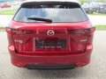 Mazda CX-60 3.3D/254/AWD/Homura Plus Rot - thumbnail 7