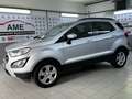 Ford EcoSport Trend 1.0 EcoBoost *Winter-Paket|Sync3* Silber - thumbnail 8