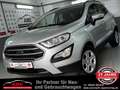 Ford EcoSport Trend 1.0 EcoBoost *Winter-Paket|Sync3* Silber - thumbnail 1