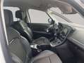 Renault Scenic ENERGY dCi 160 EDC BOSE EDITION Weiß - thumbnail 17