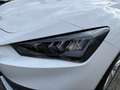 SEAT Leon Style Edition 1.5 TSI 115 PS Ö_Paket Weiß - thumbnail 4
