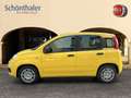 Fiat Panda 4x2 FireFly Hybrid 70 Geel - thumbnail 3