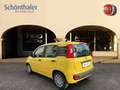 Fiat Panda 4x2 FireFly Hybrid 70 Geel - thumbnail 2