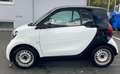 smart forTwo coupe Eeuro 6 Tüv:06/2025 Blanc - thumbnail 12
